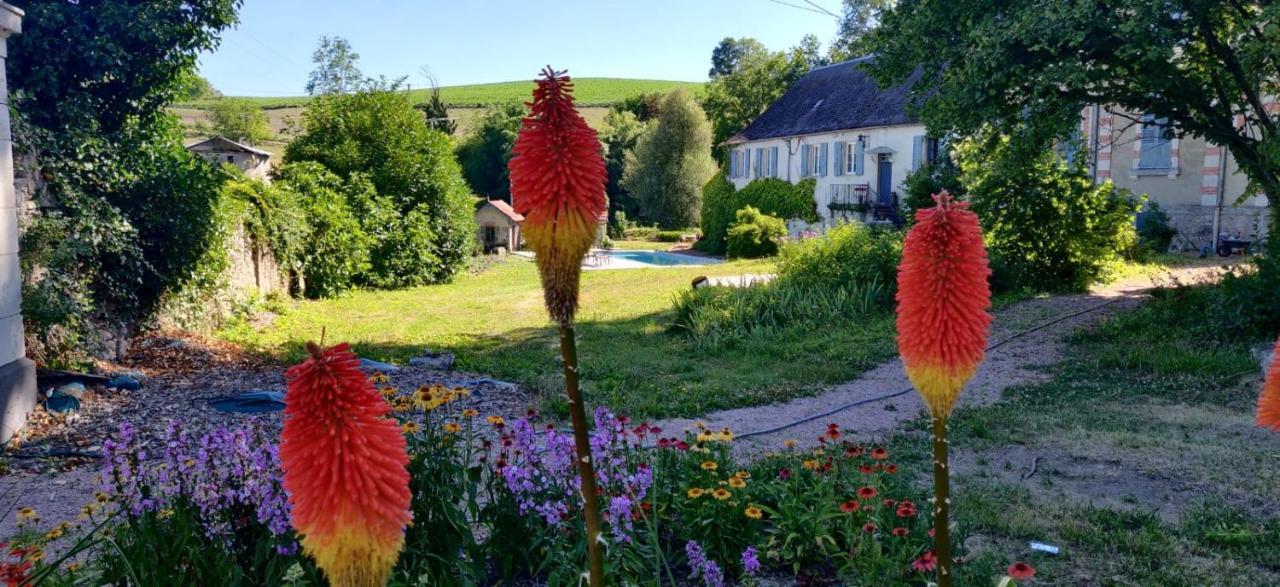 Chateau De Saint Etienne Buitenkant foto